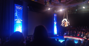 Seminaire d'entreprise - CIRQUE EVENT